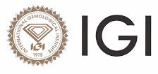 Companies Worked with Section